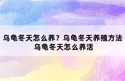 乌龟冬天怎么养？乌龟冬天养殖方法 乌龟冬天怎么养活